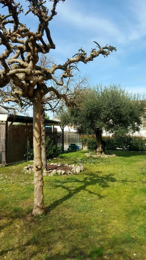 Villa Bracci Molinaccio Екстериор снимка